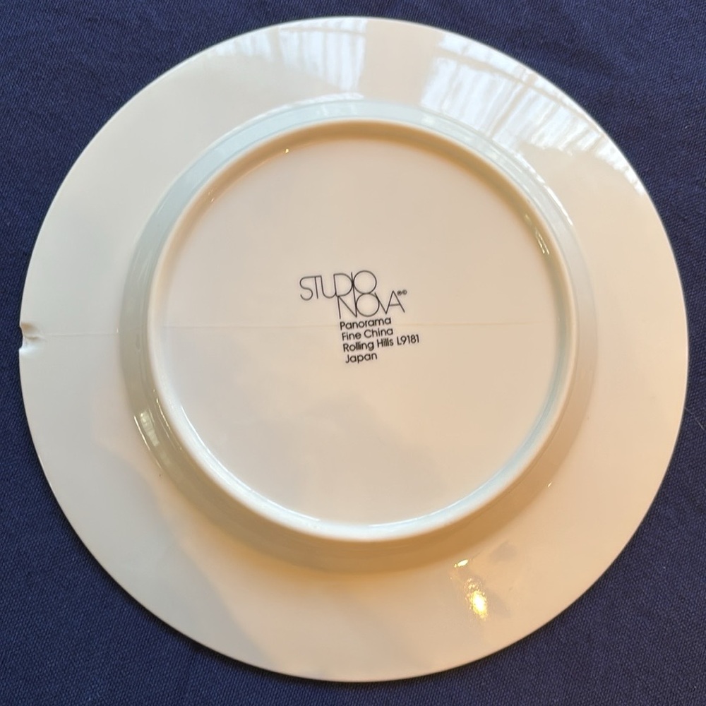 👨‍🌾 STUDIO NOVA ROLLING HILLS SINGLE PLACE SETTING W/ CHIPPED SALAD PLATE - Picture 7 of 8